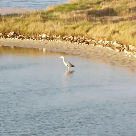 Charme De La Petite Bosse By Interhome