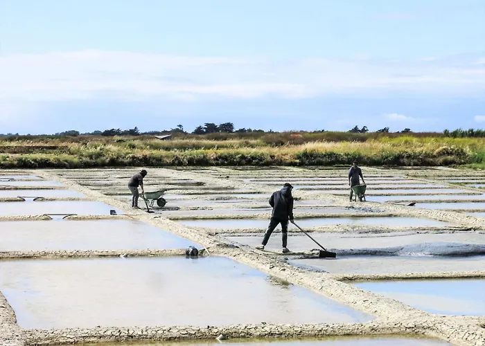 Charme De La Petite Bosse By Interhome L'Epine (Vendee)