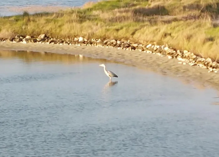 Charme De La Petite Bosse By Interhome