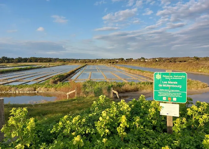 Hébergement de vacances Charme De La Petite Bosse By Interhome L'Epine (Vendee)